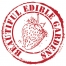 08_Logo_B_E_G_logo